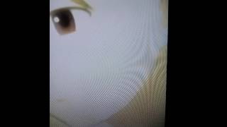 I Can't sleep at JL. Villa II (Dili) 2016