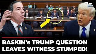 ‘Foreign Money’ For Trump? Jamie Raskin Raises Qatar Jet In Fiery Election Hearing | US Politics