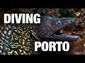 Plongée/ Diving/ Tauchen | Porto, Corse