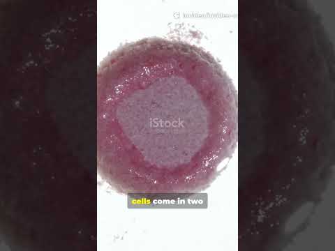 🌱 Cell – The Unit of Life