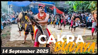 Download lagu Babak Terakhir Cakra Budaya Lemahireng | Full Surup Kocar Kacir | Live performance📍14 September 2025 mp3