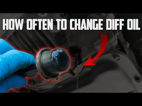 How Often to Change Differential Fluid: Rear, Front & Replacement Cost
