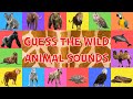 Guess The Wild Animal Sounds For Kids 4K