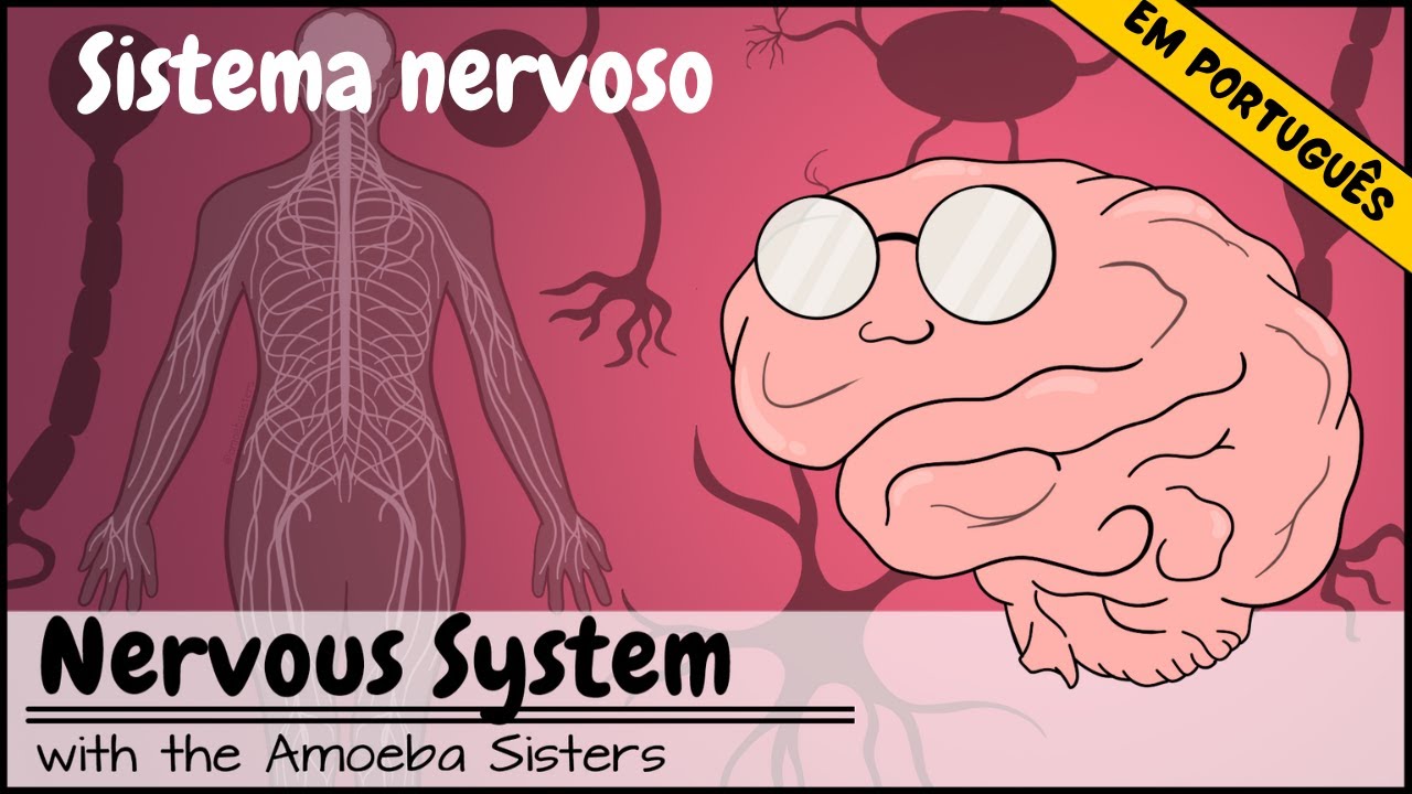 Sistema nervoso