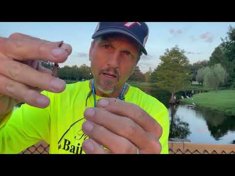 Play Video Youtube Video