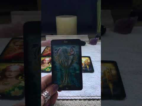 Virgo General Week Mar 26-Apr1 Fast