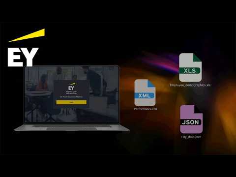 Ey Pas Pay Equity Technology Overview