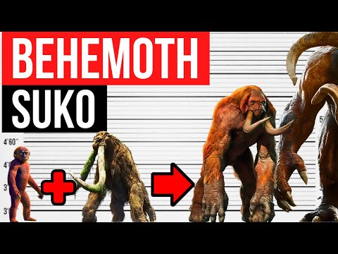 Suko x Behemoth Fusion | The Crazy Evolution of Sukomoth