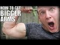 HOW BIG ARE MY ARMS?! How To Get Bigger Biceps