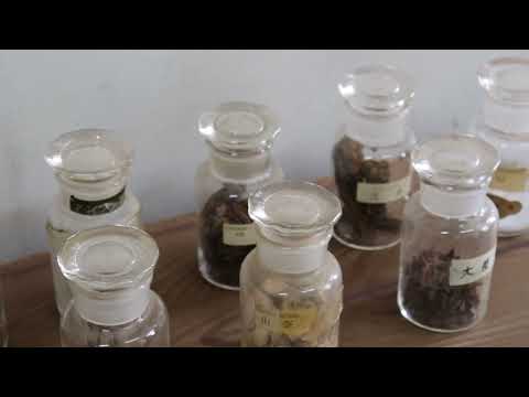 梅栄堂の現場｜Inside Baieido Co., Ltd.