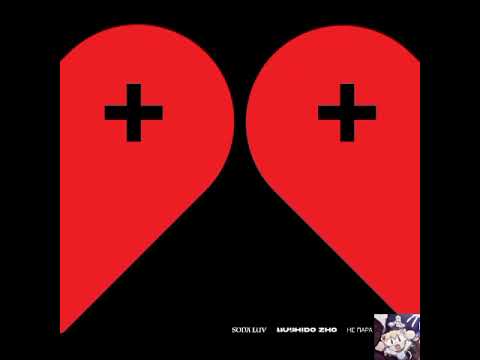 BUSHIDO ZHO feat. SODA LUV — Не пара (Clean Edit)