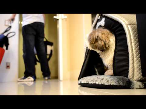 Isabella - Perinatal Barra 18/04/14 - Cine baby / BB ART