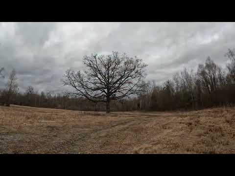 Mit Yoshi on Tour - am Griesle in Günzburg