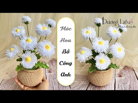 Hoa bồ công anh
