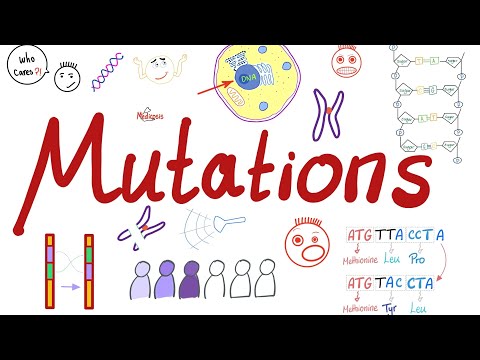 Types of Mutations | Changes in the Gene Pool | Genetic Drift | Biology 🧬