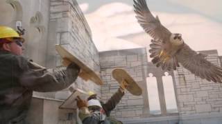 INSURRECCIÓN - MANOLO GARCÍA Y MIGUEL RíOS