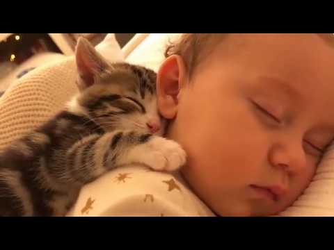 YouTube 썸네일