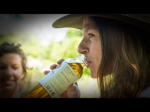 Sip A Local Secret - Texana Wildharvested Yaupon Tea