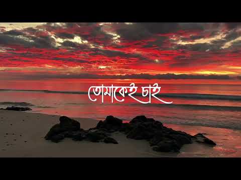 Tomar Namer Roddure || Tomake Chai || তোমার নামের রোদ্দুরে || Arijit Singh