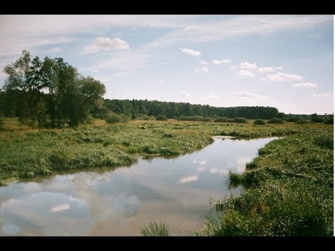 Pieśń o Zacheuszu......