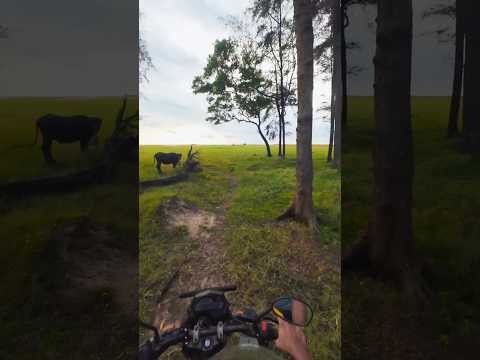 wheels on the beach road #2 | kerala