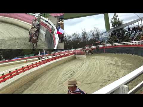 SERIE DE CAMPEONES RODEO CLUB CASABLANCA ASOC. VALPARAISO FEROCHI