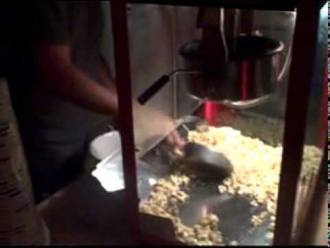 KVW groep 3 2011 dinsdag