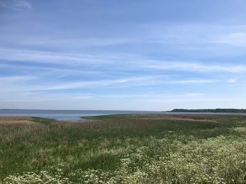 Mein neues Video von 10 06 2021 wieder in Prohn an der Ostsee