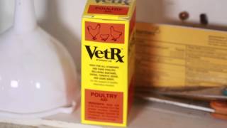 First Aid Kit Basics for Chickens