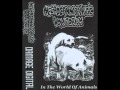 Necrocannibalistic Vomitorium - 10 Tracks 