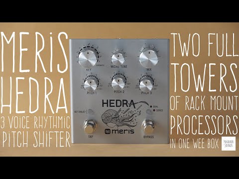 Meris Hedra 3-Voice Rhythmic Pitch Shifter 2019 Silver imagen 6