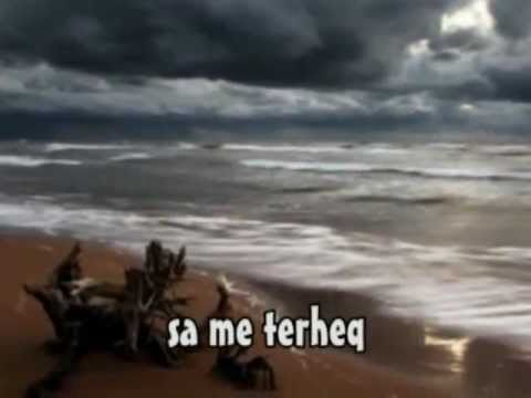 HORIZONTI BLU - adhuroj (stinen e vjeshtes)