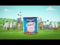 Danone Yoghurt