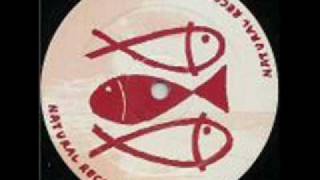 Kinky toys - Somewhere out there (Aliens are lurking..)
