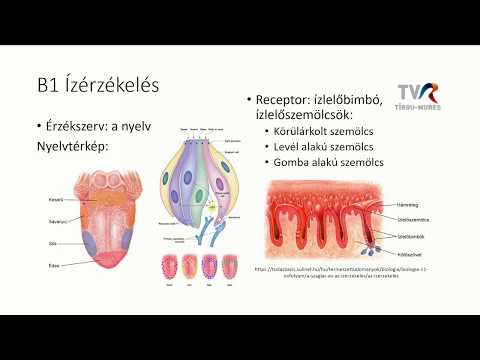 kiváló eszköz a féregeltávolításhoz