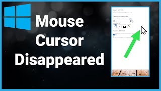 How To Fix Mouse Cursor Disappeared On Windows 10 (2022)