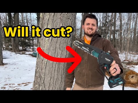 8” Mini Cordless Chainsaw vs. Large standing dead Red Oak