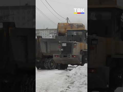В Бердске вышли на борьбу со снегом