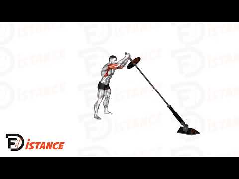 Landmine Press à deux bras - Exercice Landmine Press à deux bras en vidéo