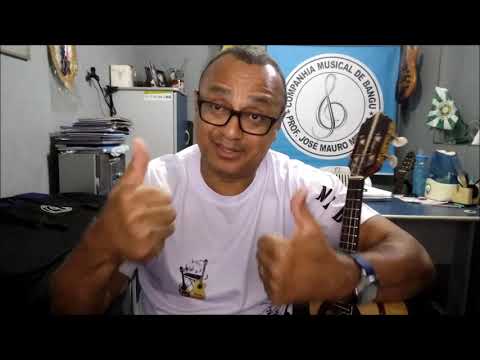 Fogueira De Uma Paixão - Luiz Carlos da Vila