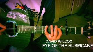 COVER: Eye of the Hurricane (David Wilcox)