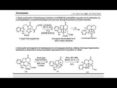 Synthesis Workshop: Total Synthesis of (-)-Strempeliopine with Xianhuang Zeng (Episode 65)