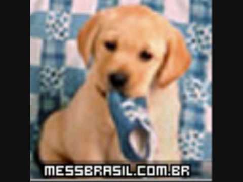 Vanessa da Mata & Ben Harper - Boa Sorte