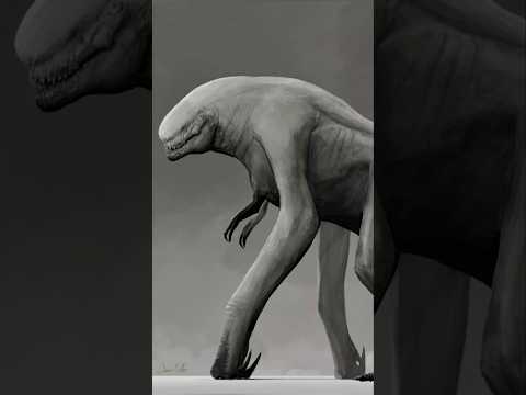 The Truth About D. Rex