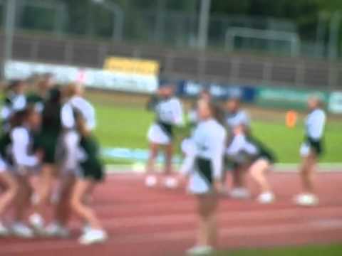 Bielefelder Wildcats