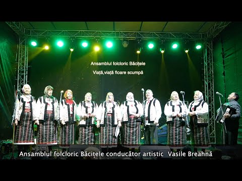 Ansamblul folcloric Băcițele - Viață viață floare scumpă