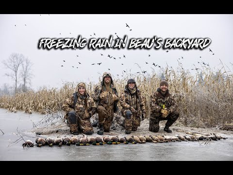 BEAU HUNTING - "Freezing Rain in Beau's Backyard"