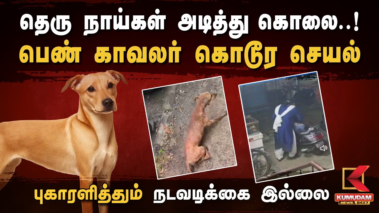 தெரு நாய்கள் அடித்து கொ*ல..! பெண் காவலர் கொடூர செயல்.. 