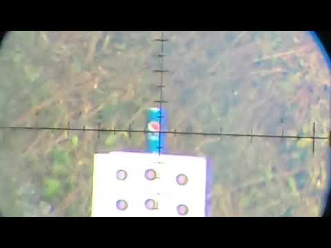 Fx Impact x .25, Jsb King Heavy 33.95grain at 930fps