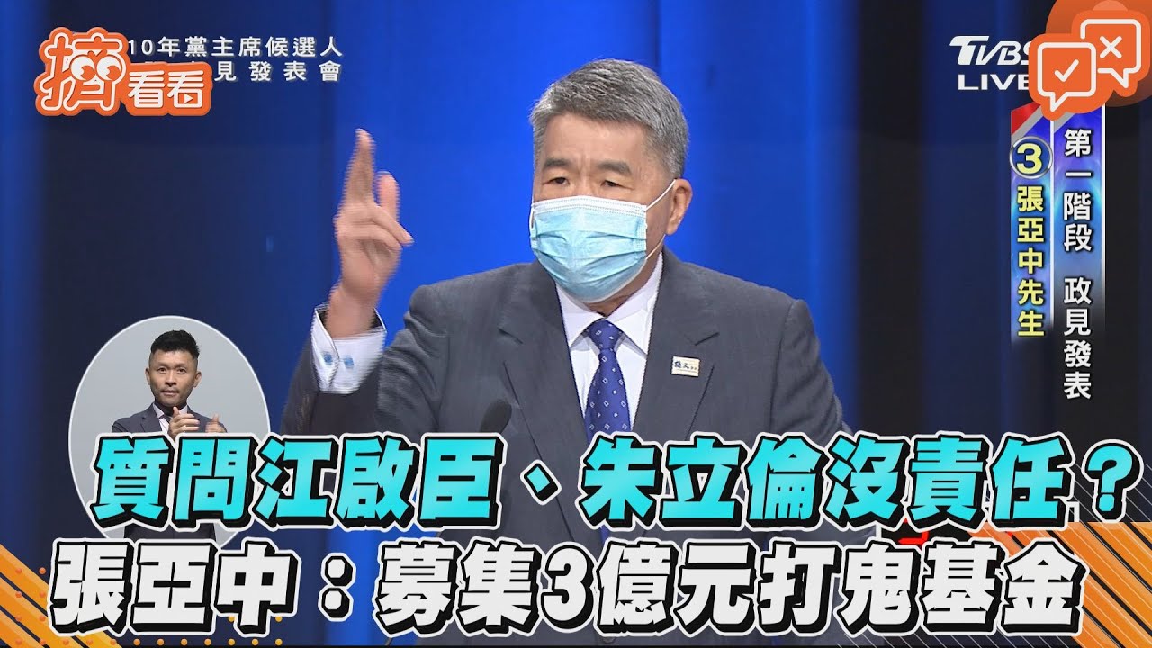 點名江啟臣、朱立倫 張亞中:黨變這樣沒責任嗎?